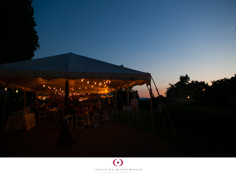 Phipps Conservatory Outdoor Garden Wedding Ceremony Reception Pittsburgh-44