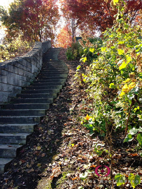 Washington's Landing stone steps Pittsburgh