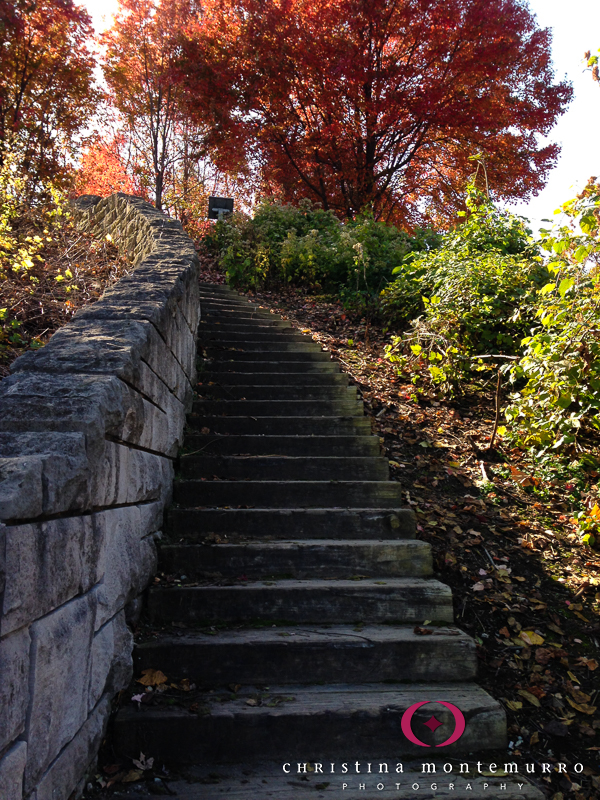 Washington's Landing stone steps Pittsburgh