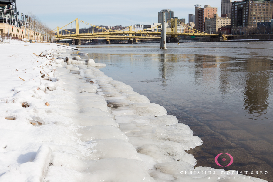 Pittsburgh North Shore Winter