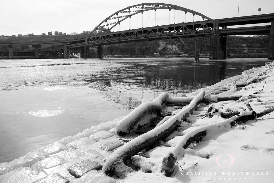 Pittsburgh North Shore Winter