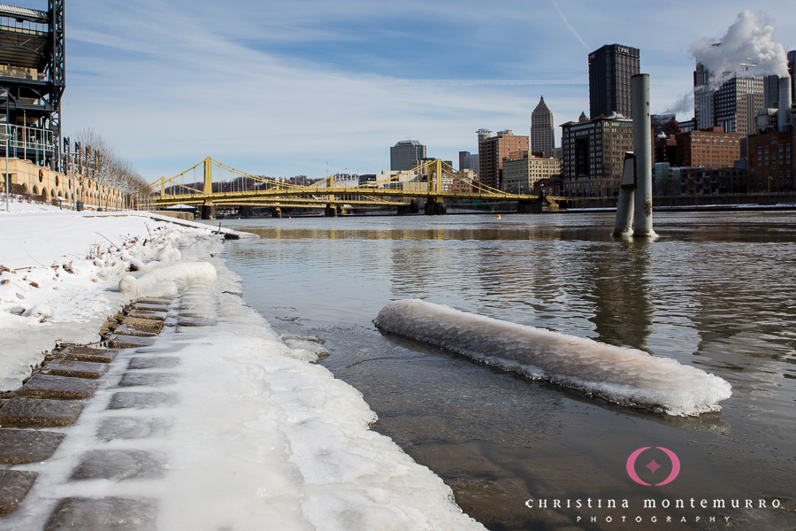 Pittsburgh North Shore Winter