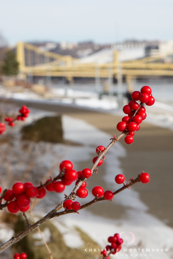 Pittsburgh North Shore Winter