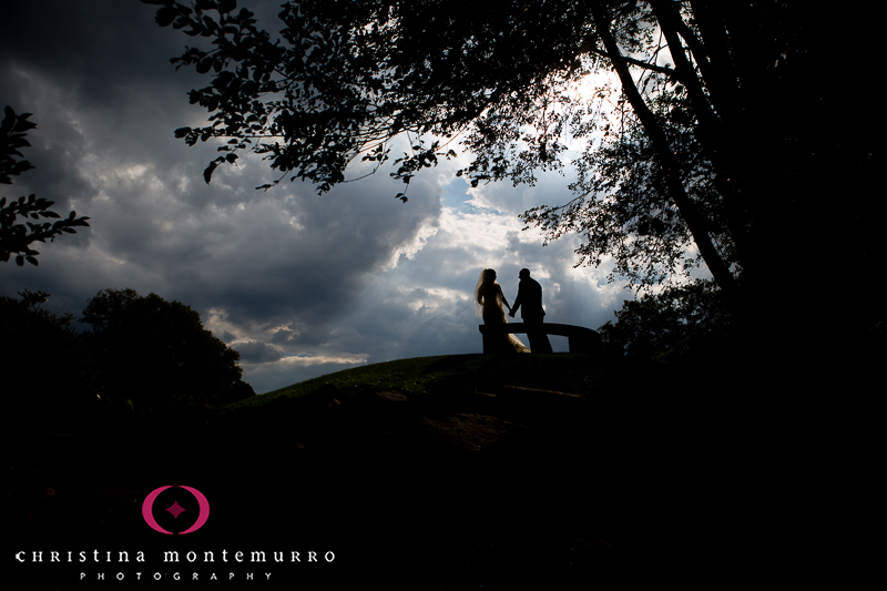 Nikki Bryan Mellon Park Wedding Photos Pittsburgh Wedding Photography