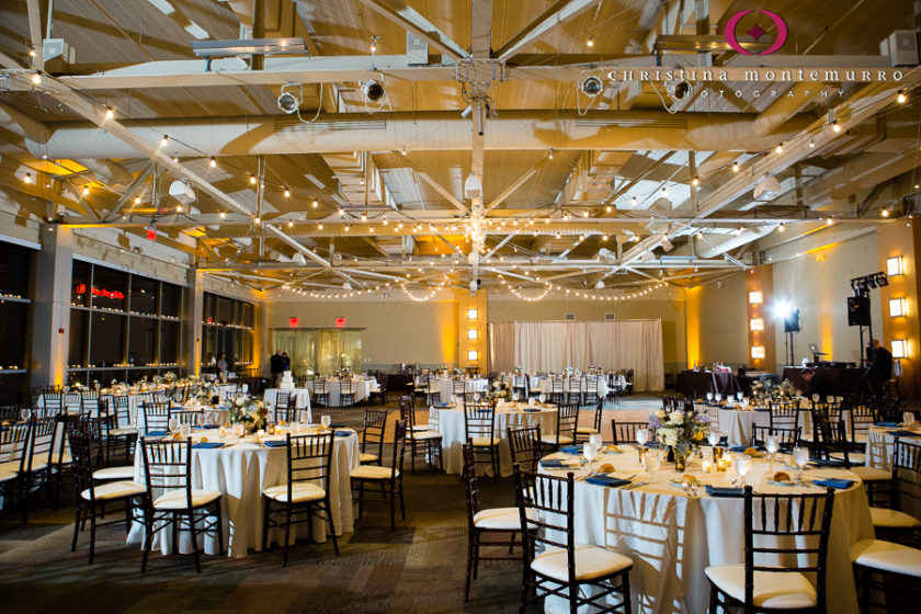 Winter Rustic Wedding Theme Heinz History Center Mueller CenterPine Cones Roses Bistro Lights