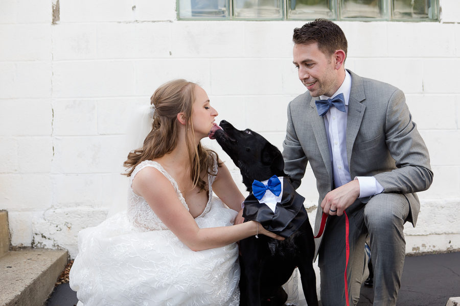 Bride and groom with rescue dog in tux